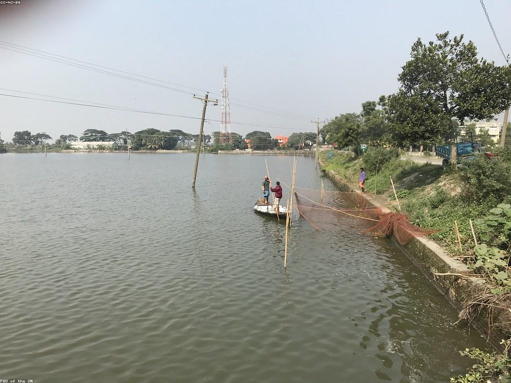 បច្ចេកទេសថ្មីសម្រាប់ការប្រើប្រាស់ឧបករណ៍បាញ់ត្រី