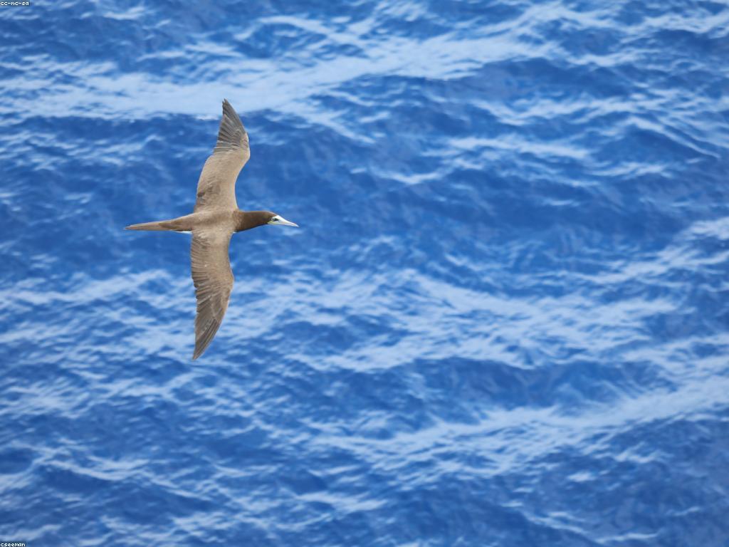 កន្លែងបាញ់ត្រីល្អបំផុតនៅកម្ពុជា