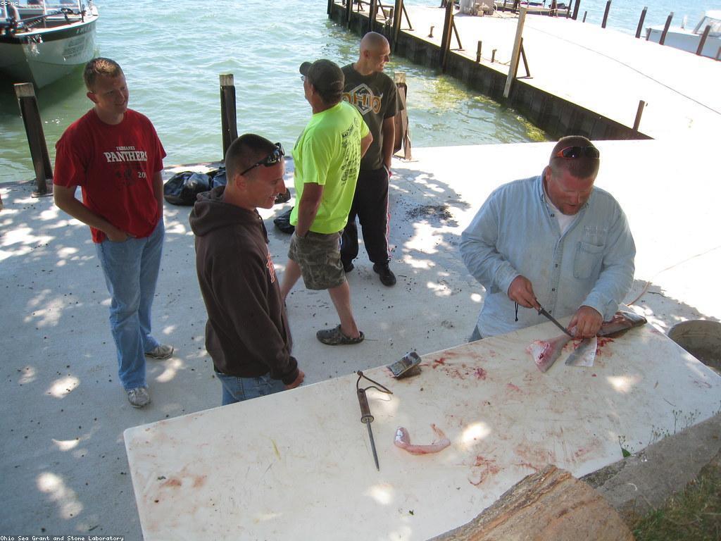 ឧបករណ៍បាញ់ត្រី: សារសំខាន់នៃការអភិវឌ្ឍន៍និងគំនិតថ្មី