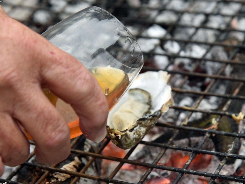 អាហារបង្កើតរបស់ត្រី