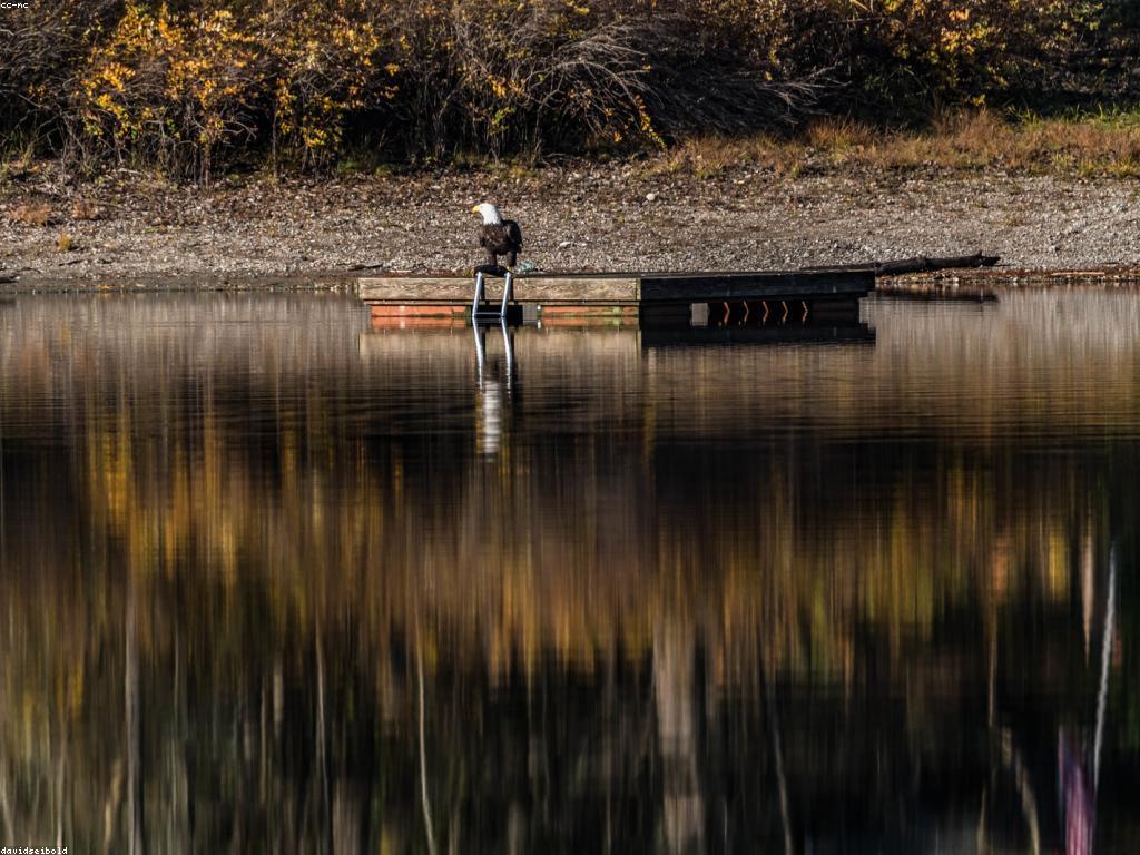 កន្លែងបាញ់ត្រីល្អបំផុតសម្រាប់អ្នកចូលចិត្តបាញ់ត្រី