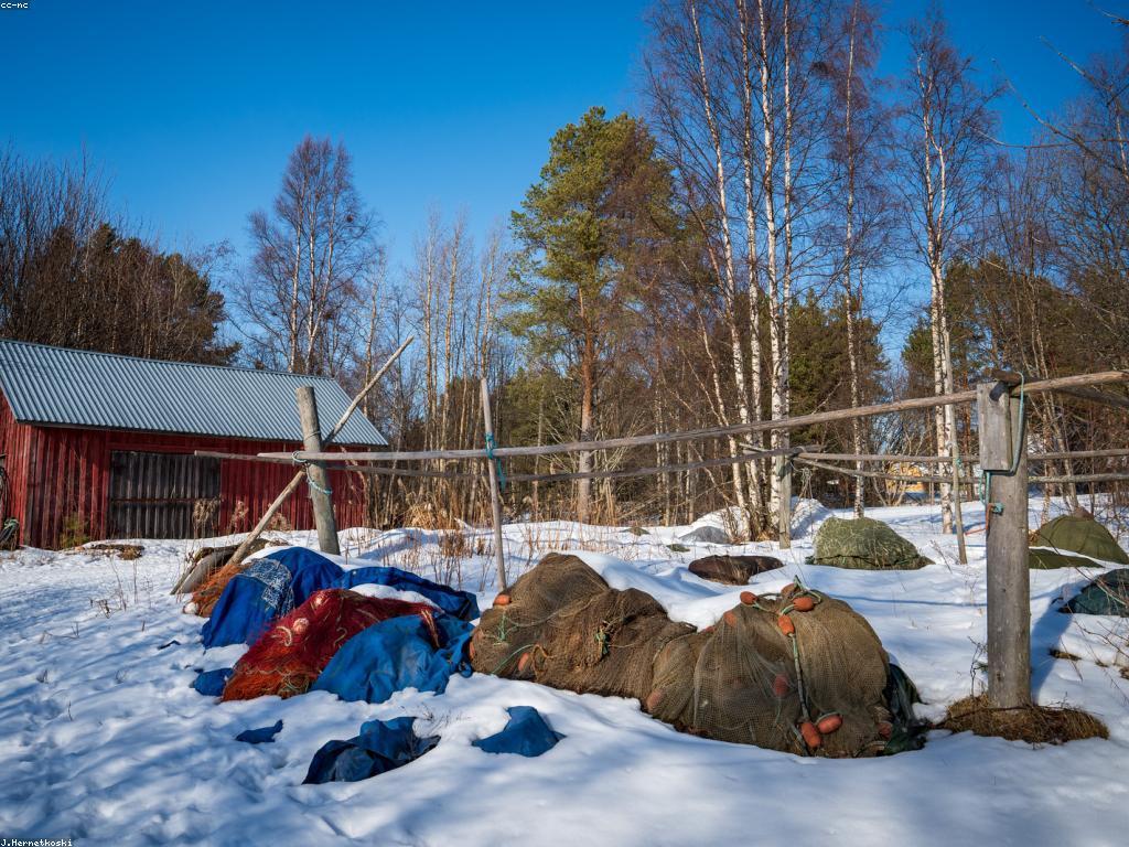 ឧបករណ៍បាញ់ត្រីដែលល្អបំផុតសម្រាប់អ្នកចាប់ត្រី