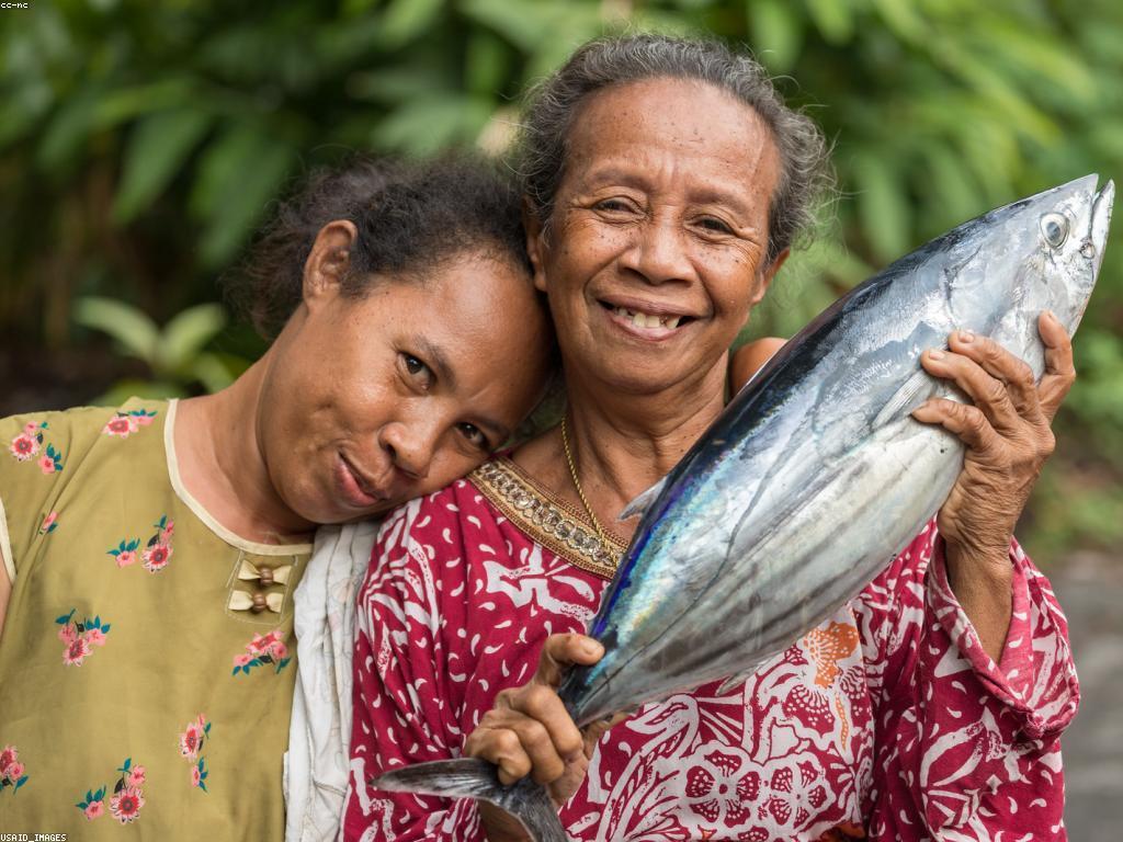 យុទ្ធសាស្ត្រសម្រាប់ភាពជោគជ័យក្នុងការបាញ់ត្រី