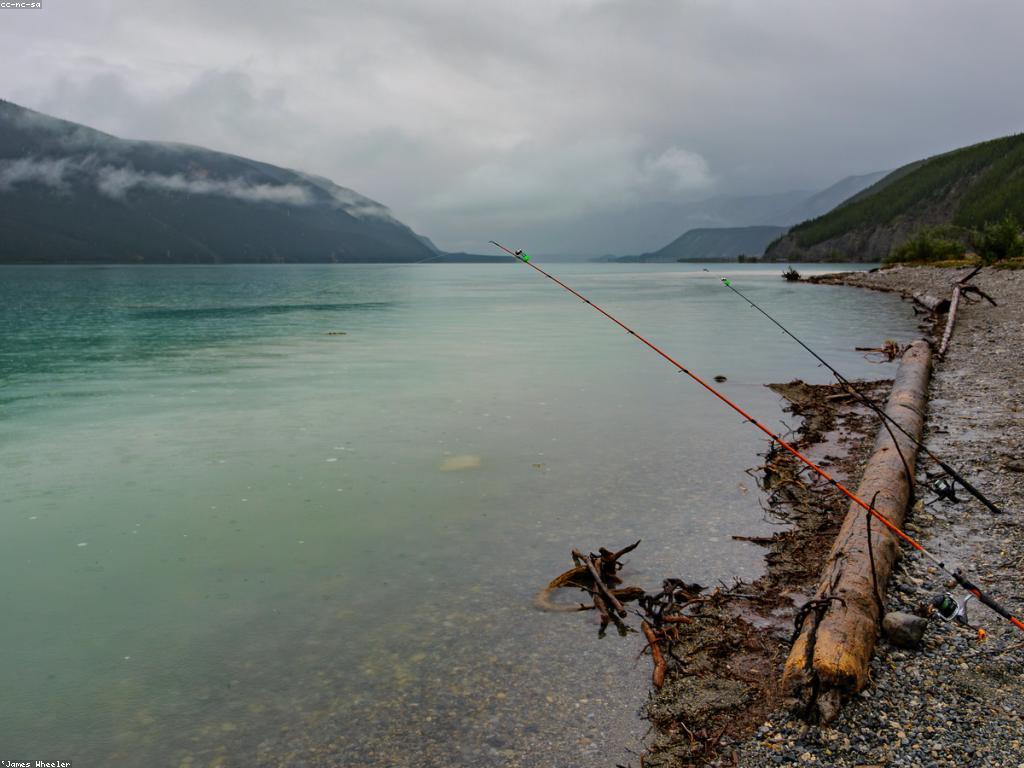 យុទ្ធសាស្ត្របាញ់ត្រីសម្រាប់អ្នកចាប់ផ្តើម