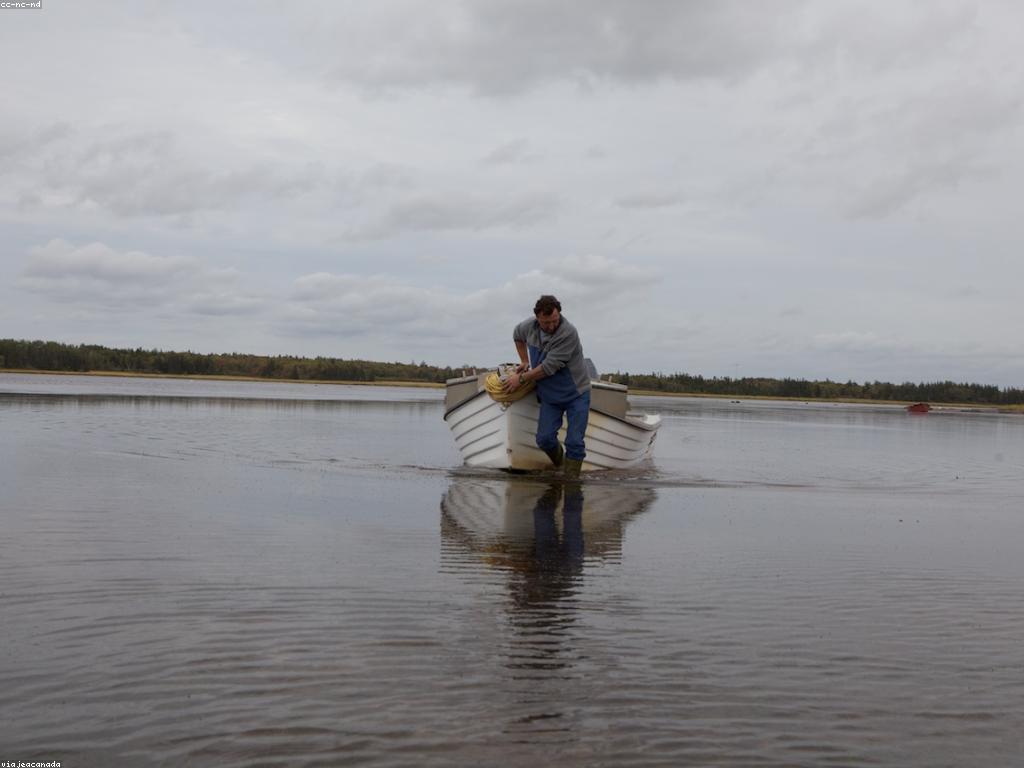 យុទ្ធសាស្ត្របាញ់ត្រីសម្រាប់អ្នកចាប់ផ្តើម: យុទ្ធសាស្ត្រដែលមានប្រសិទ្ធភាព