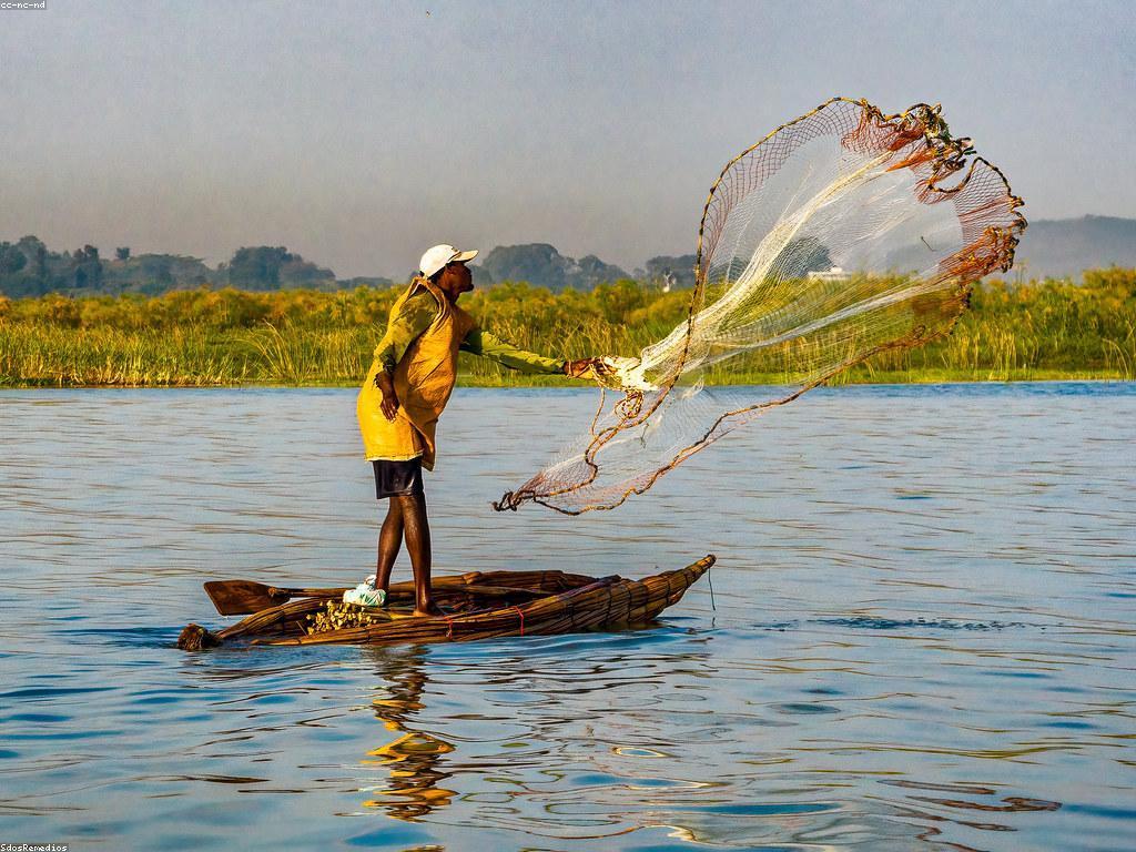 យុទ្ធសាស្ត្របាញ់ត្រីសម្រាប់អនុវត្តន៍យ៉ាងធន់ចាំ