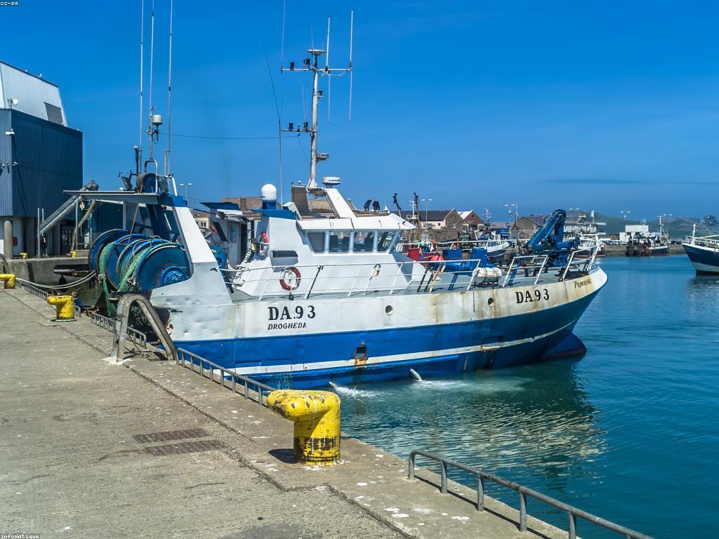 ឧបករណ៍បាញ់ត្រី: ការប្រើប្រាស់ឧបករណ៍និងកន្សោមសំខាន់ៗ