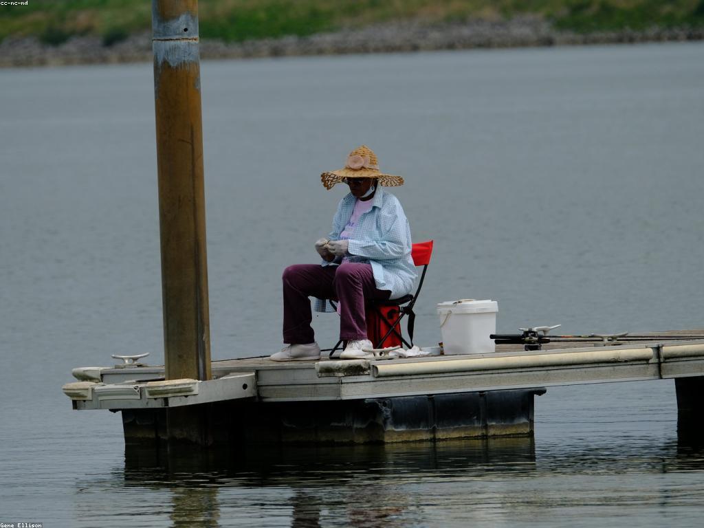 យុទ្ធសាស្ត្របាញ់ត្រីសម្រាប់អ្នកចាប់ផ្តើម