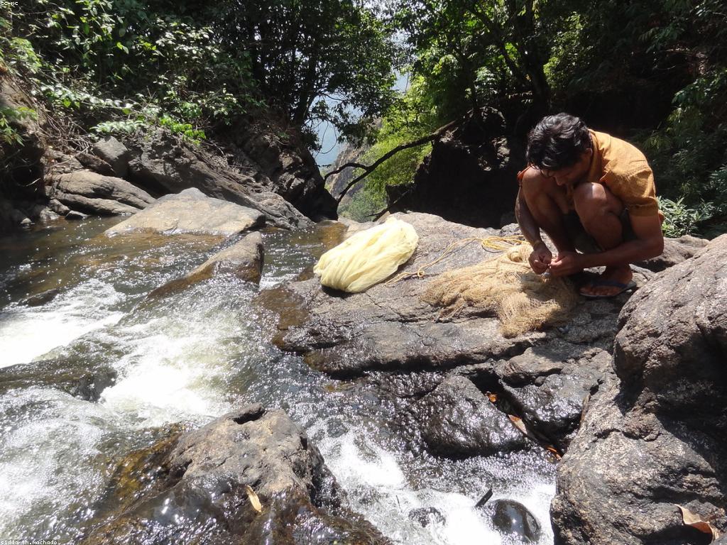 យុទ្ធសាស្ត្របាញ់ត្រីសម្រាប់ការអនុវត្តន៍អេកូ-ហ្វ្រេនដ៍