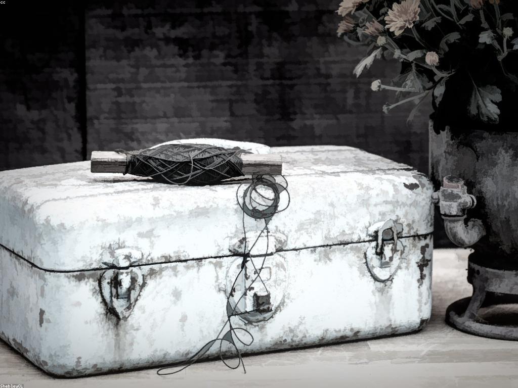 ឧបករណ៍បាញ់ត្រីដែលល្អបំផុតសម្រាប់អ្នកចាប់ត្រី