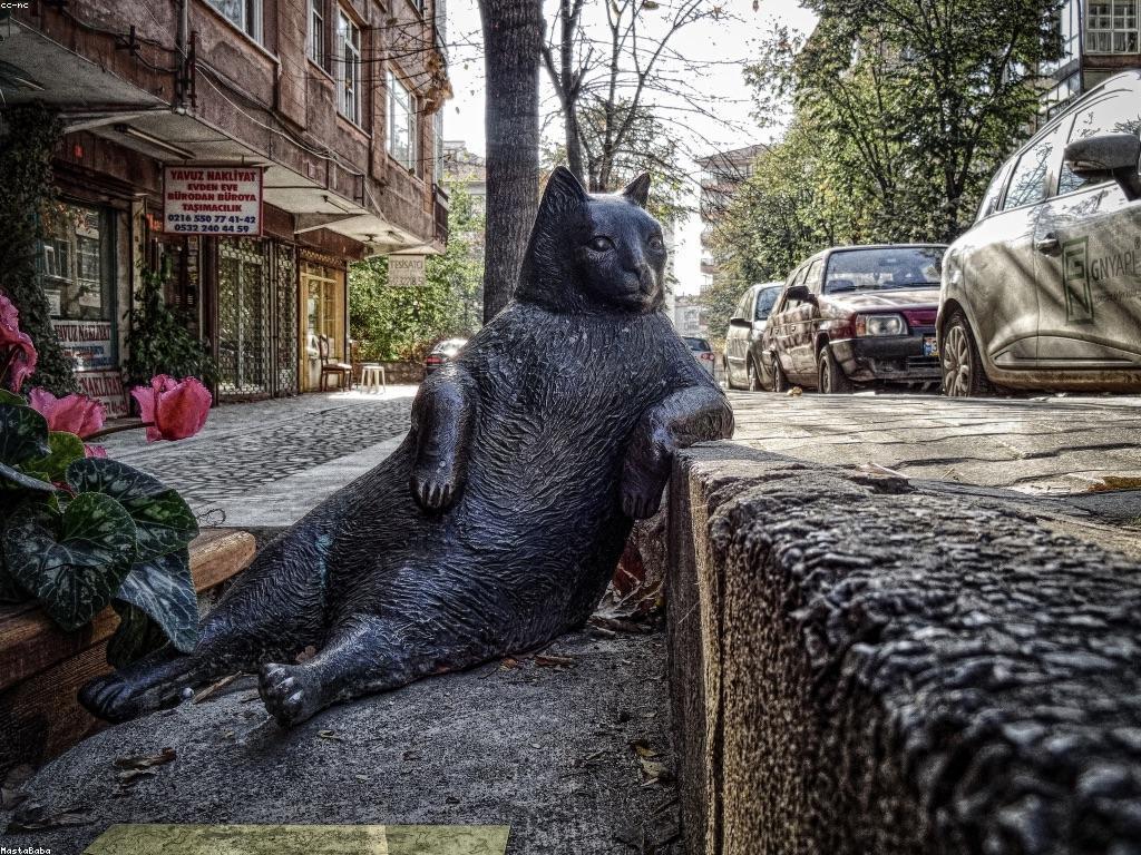 យុទ្ធសាស្ត្របាញ់ត្រីសម្រាប់អ្នកចាប់ផ្តើម: យុទ្ធសាស្ត្រដែលមានប្រសិទ្ធភាព