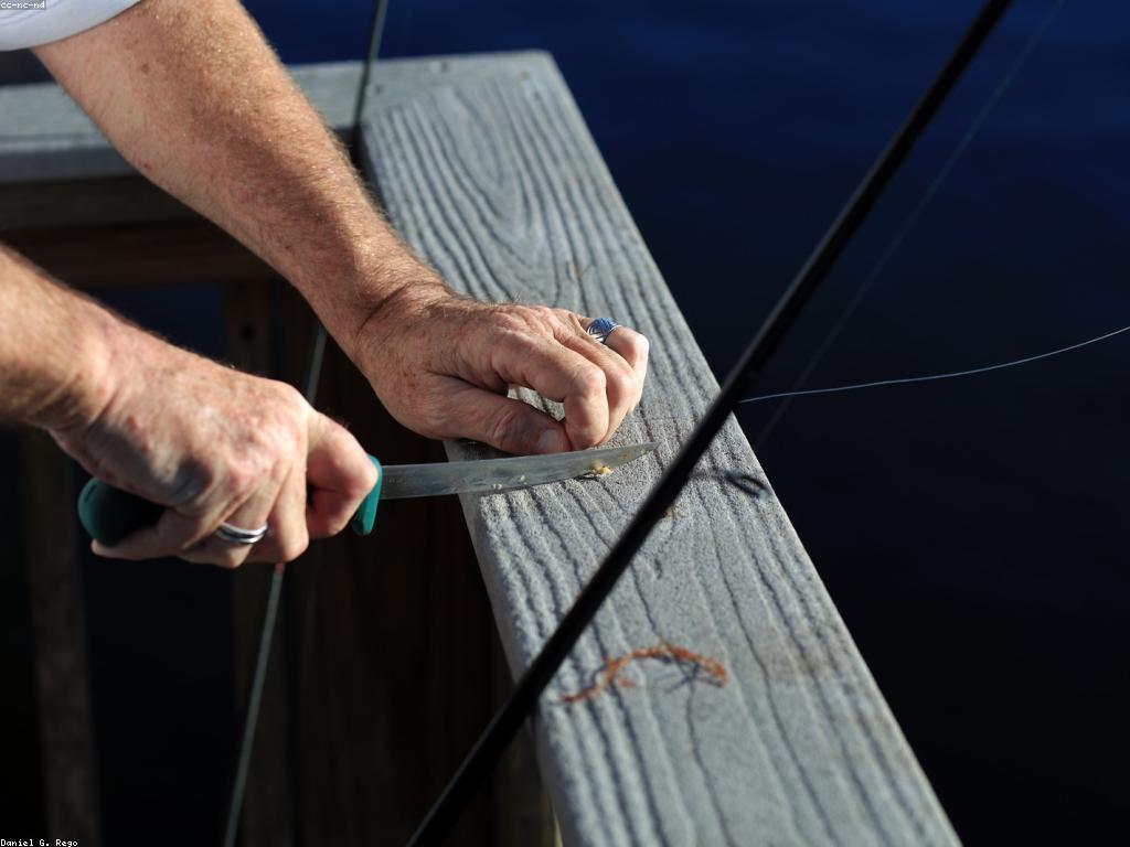 បទពិសោធន៍បាញ់ត្រីនៅកន្លែងដ៏ស្រស់ស្អាត