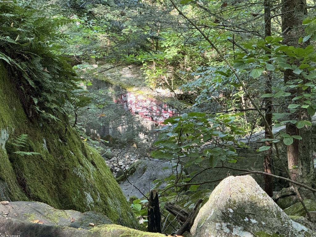 ការស្វែងយល់អំពីកន្លែងបាញ់ត្រីនៅកម្ពុជា