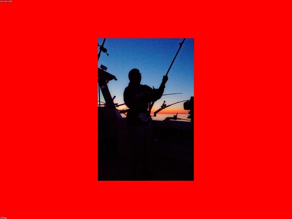 យុទ្ធសាស្ត្របាញ់ត្រី: ការបង្ហាញពីយុទ្ធសាស្ត្រទូទៅសម្រាប់ការបាញ់ត្រី