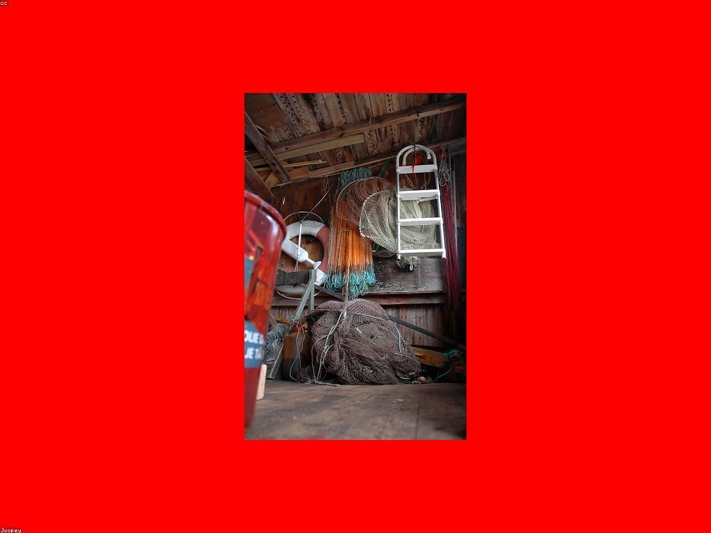 ឧបករណ៍បាញ់ត្រី: ធនធាននិងបច្ចេកទេសដែលពួកគេត្រូវតែយល់ដឹង